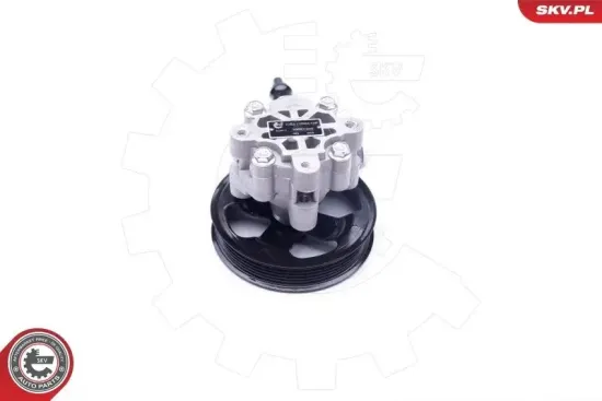 Hydraulikpumpe, Lenkung ESEN SKV 10SKV265 Bild Hydraulikpumpe, Lenkung ESEN SKV 10SKV265