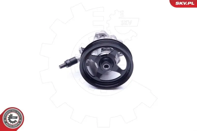 Hydraulikpumpe, Lenkung ESEN SKV 10SKV266