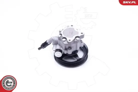 Hydraulikpumpe, Lenkung ESEN SKV 10SKV266 Bild Hydraulikpumpe, Lenkung ESEN SKV 10SKV266