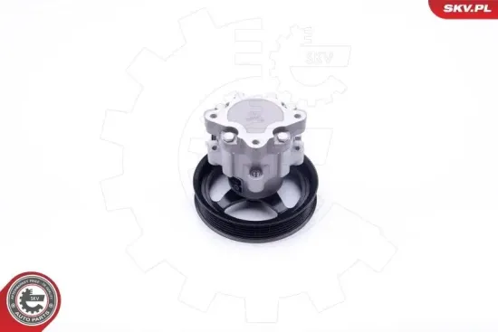 Hydraulikpumpe, Lenkung ESEN SKV 10SKV266 Bild Hydraulikpumpe, Lenkung ESEN SKV 10SKV266