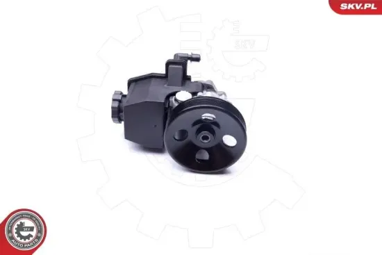 Hydraulikpumpe, Lenkung ESEN SKV 10SKV269 Bild Hydraulikpumpe, Lenkung ESEN SKV 10SKV269