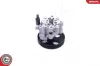Hydraulikpumpe, Lenkung ESEN SKV 10SKV287 Bild Hydraulikpumpe, Lenkung ESEN SKV 10SKV287