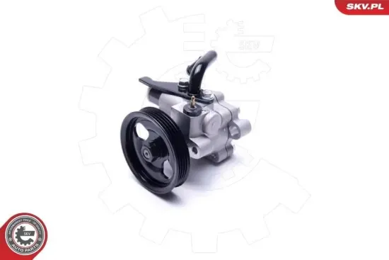 Hydraulikpumpe, Lenkung ESEN SKV 10SKV301 Bild Hydraulikpumpe, Lenkung ESEN SKV 10SKV301