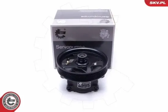 Hydraulikpumpe, Lenkung ESEN SKV 10SKV303 Bild Hydraulikpumpe, Lenkung ESEN SKV 10SKV303