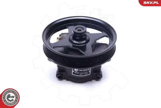 Hydraulikpumpe, Lenkung ESEN SKV 10SKV303 Bild Hydraulikpumpe, Lenkung ESEN SKV 10SKV303