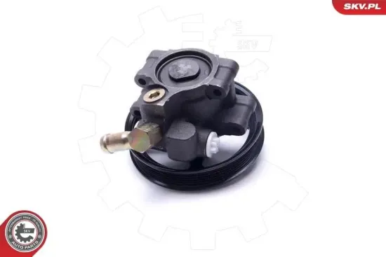 Hydraulikpumpe, Lenkung ESEN SKV 10SKV303 Bild Hydraulikpumpe, Lenkung ESEN SKV 10SKV303