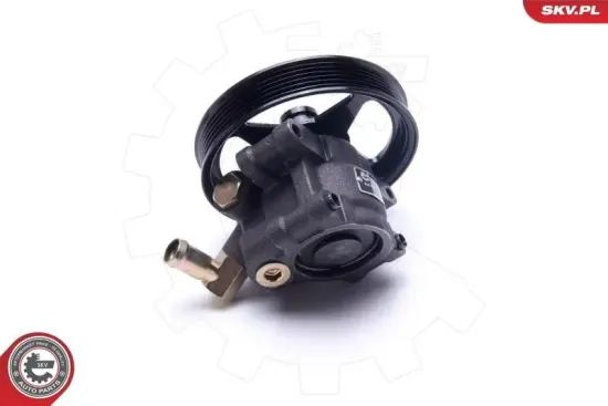 Hydraulikpumpe, Lenkung ESEN SKV 10SKV303 Bild Hydraulikpumpe, Lenkung ESEN SKV 10SKV303