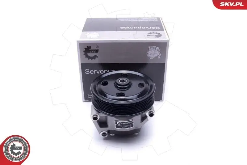 Hydraulikpumpe, Lenkung ESEN SKV 10SKV309