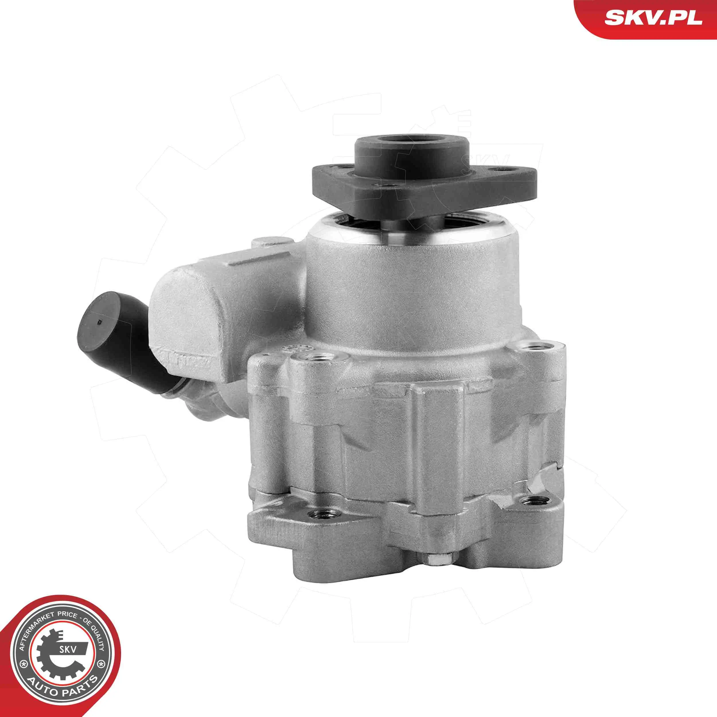 Hydraulikpumpe, Lenkung ESEN SKV 10SKV329