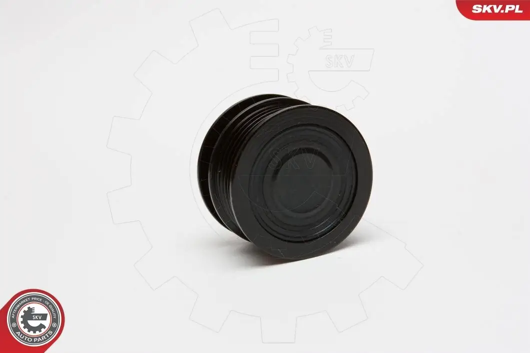 Kühler, Abgasrückführung 12 V ESEN SKV 14SKV145