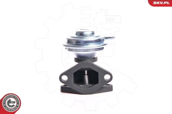 AGR-Ventil ESEN SKV 14SKV001 Bild AGR-Ventil ESEN SKV 14SKV001