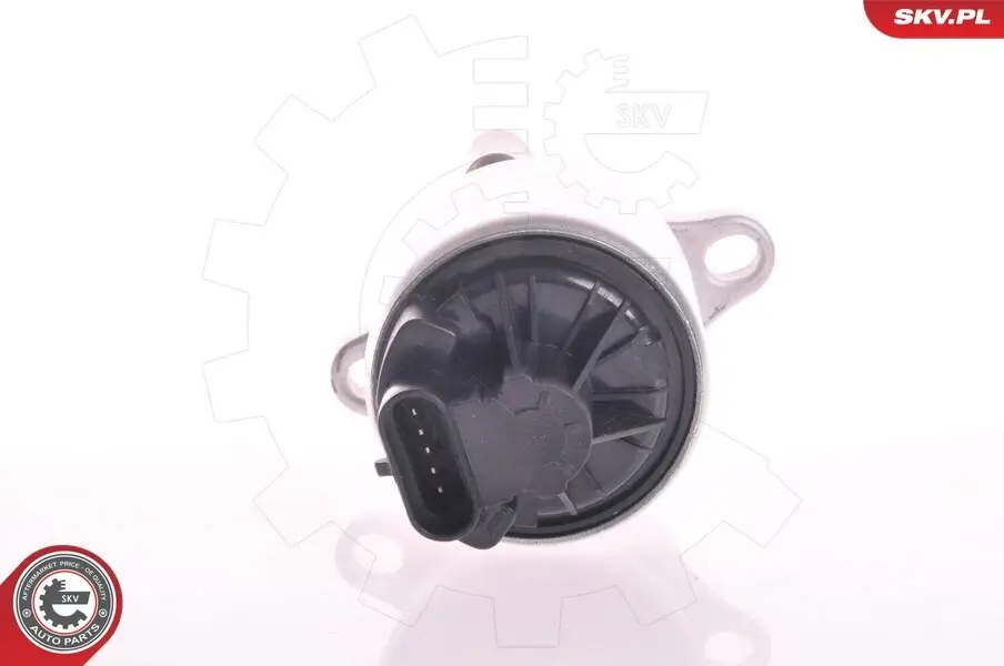 AGR-Ventil 12 V ESEN SKV 14SKV002