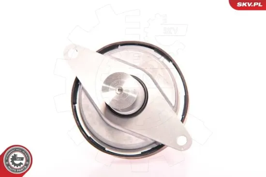 AGR-Ventil ESEN SKV 14SKV023 Bild AGR-Ventil ESEN SKV 14SKV023