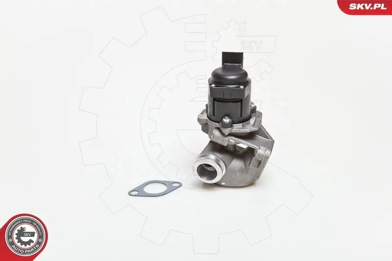 AGR-Ventil 12 V ESEN SKV 14SKV028