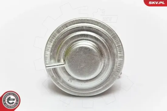 AGR-Ventil ESEN SKV 14SKV051 Bild AGR-Ventil ESEN SKV 14SKV051