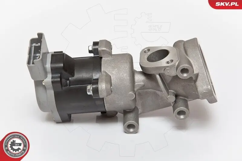 AGR-Ventil 12 V rechts ESEN SKV 14SKV073