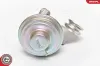 AGR-Ventil ESEN SKV 14SKV075 Bild AGR-Ventil ESEN SKV 14SKV075