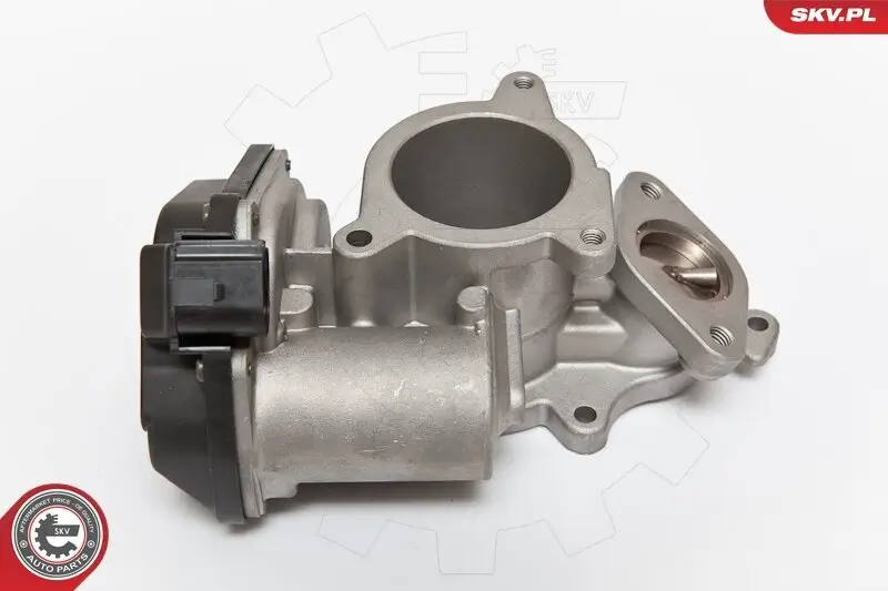 AGR-Ventil 12 V ESEN SKV 14SKV083