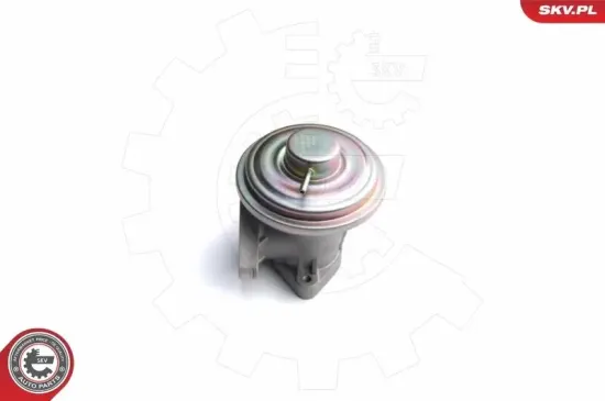 AGR-Ventil ESEN SKV 14SKV098 Bild AGR-Ventil ESEN SKV 14SKV098