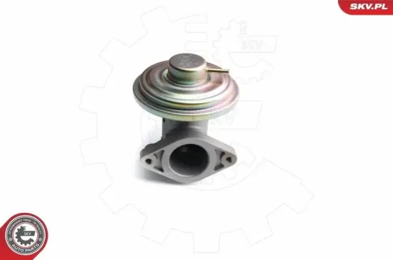 AGR-Ventil ESEN SKV 14SKV098 Bild AGR-Ventil ESEN SKV 14SKV098