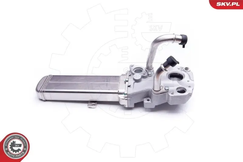 AGR-Ventil ESEN SKV 14SKV137