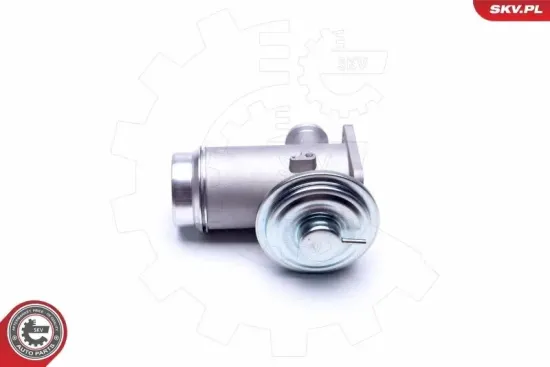 AGR-Ventil ESEN SKV 14SKV175 Bild AGR-Ventil ESEN SKV 14SKV175