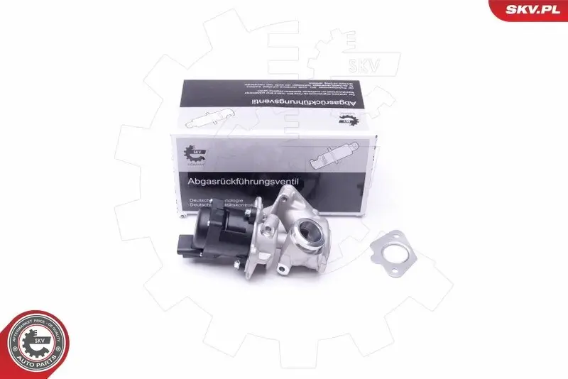 AGR-Ventil 12 V ESEN SKV 14SKV202