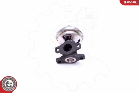 AGR-Ventil ESEN SKV 14SKV204 Bild AGR-Ventil ESEN SKV 14SKV204