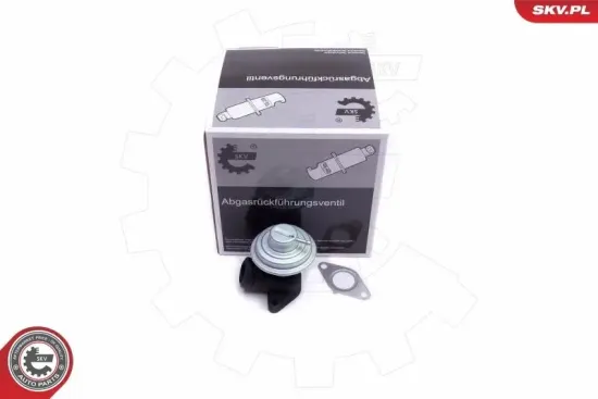 AGR-Ventil ESEN SKV 14SKV205 Bild AGR-Ventil ESEN SKV 14SKV205