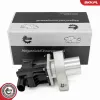 AGR-Ventil ESEN SKV 14SKV254