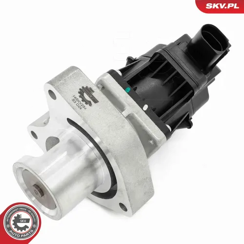 AGR-Ventil ESEN SKV 14SKV254 Bild AGR-Ventil ESEN SKV 14SKV254