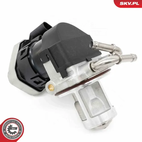 AGR-Ventil ESEN SKV 14SKV255 Bild AGR-Ventil ESEN SKV 14SKV255