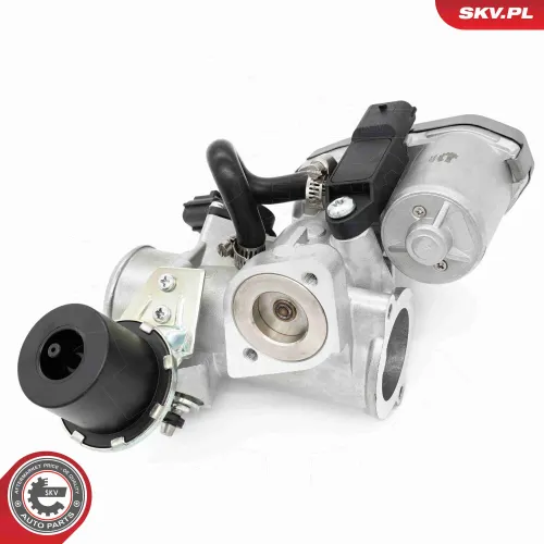 AGR-Ventil ESEN SKV 14SKV256 Bild AGR-Ventil ESEN SKV 14SKV256