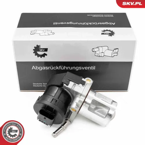 AGR-Ventil ESEN SKV 14SKV261 Bild AGR-Ventil ESEN SKV 14SKV261