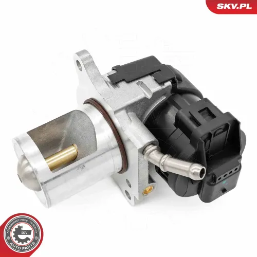 AGR-Ventil ESEN SKV 14SKV261 Bild AGR-Ventil ESEN SKV 14SKV261