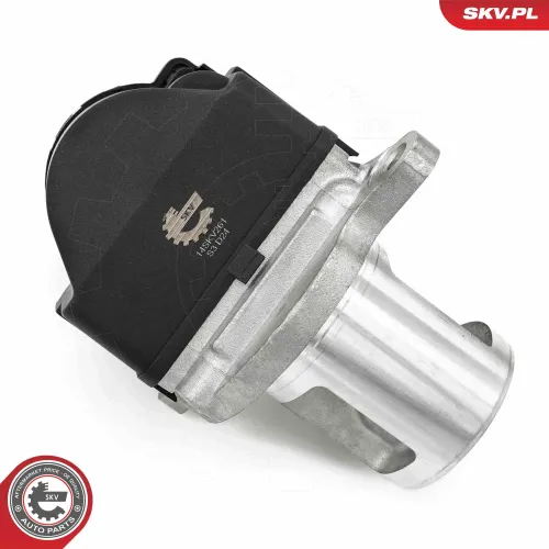 AGR-Ventil ESEN SKV 14SKV261 Bild AGR-Ventil ESEN SKV 14SKV261