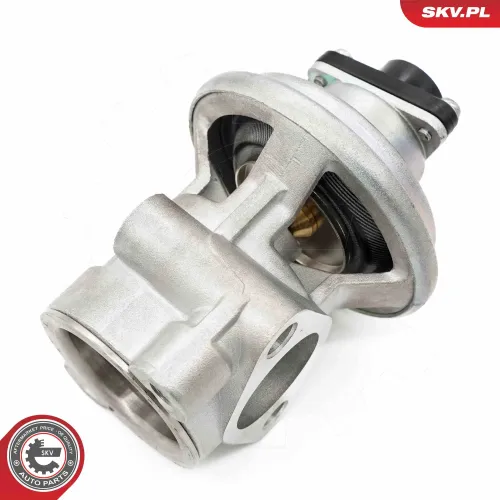 AGR-Ventil ESEN SKV 14SKV269 Bild AGR-Ventil ESEN SKV 14SKV269