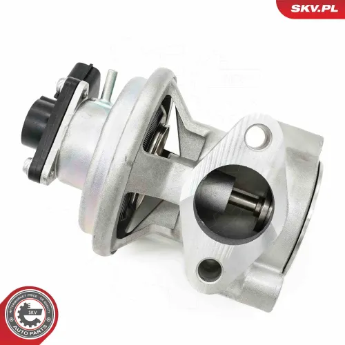 AGR-Ventil ESEN SKV 14SKV269 Bild AGR-Ventil ESEN SKV 14SKV269