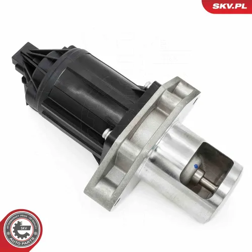 AGR-Ventil ESEN SKV 14SKV284 Bild AGR-Ventil ESEN SKV 14SKV284