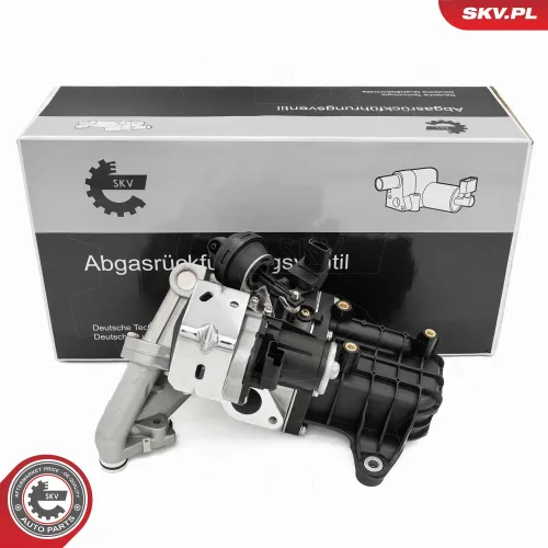 AGR-Ventil ESEN SKV 14SKV289 Bild AGR-Ventil ESEN SKV 14SKV289