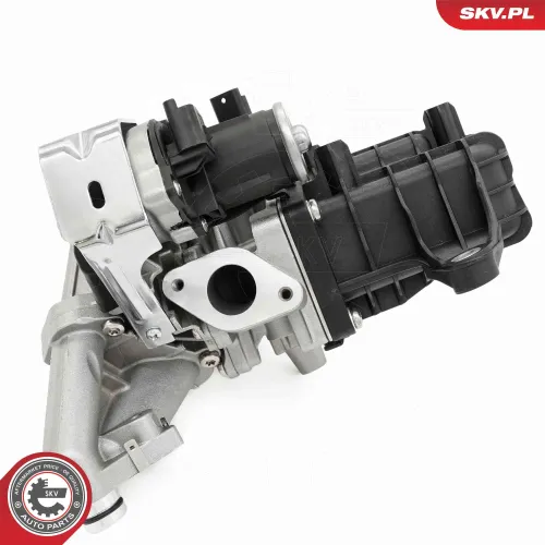 AGR-Ventil ESEN SKV 14SKV289 Bild AGR-Ventil ESEN SKV 14SKV289