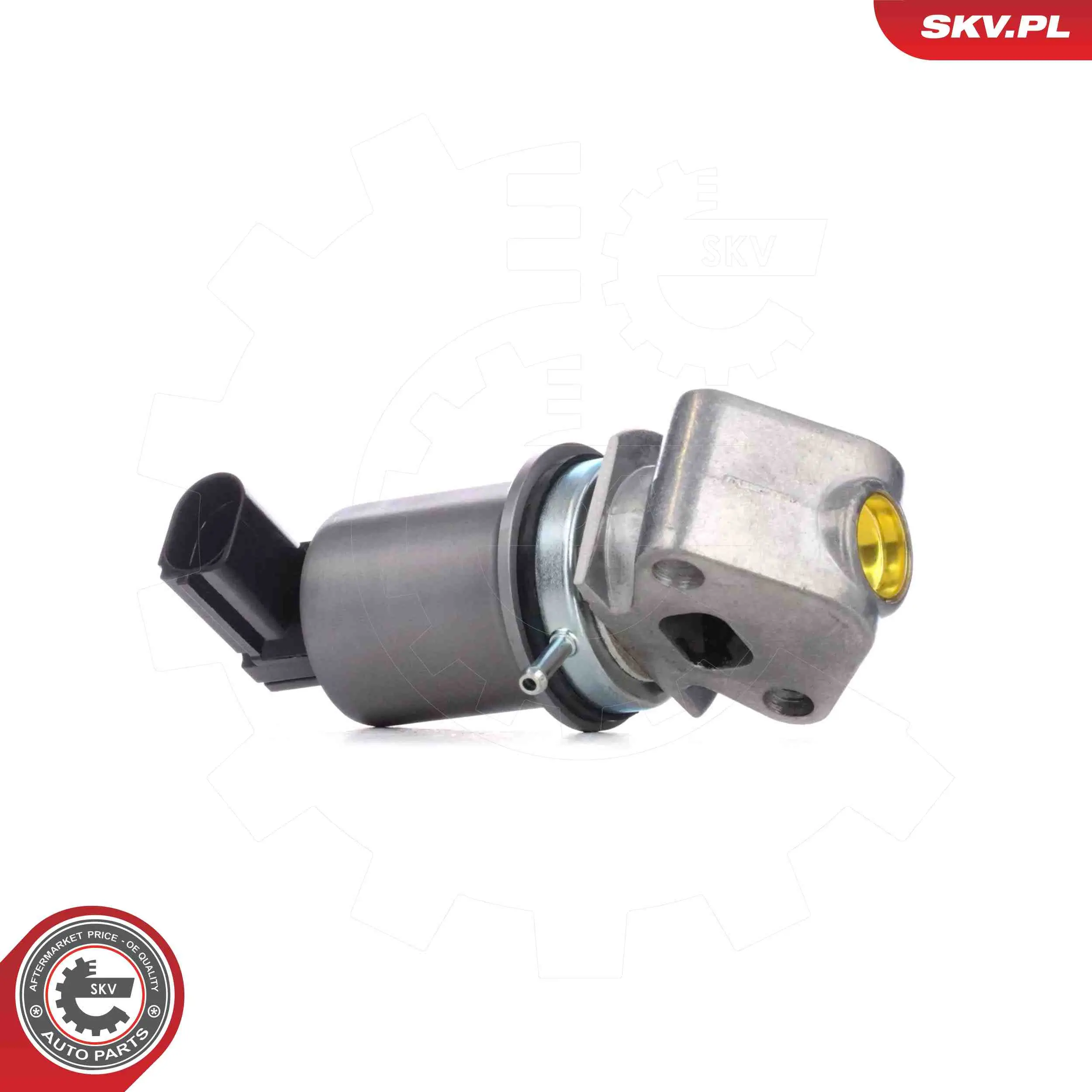 AGR-Ventil 12 V ESEN SKV 14SKV293