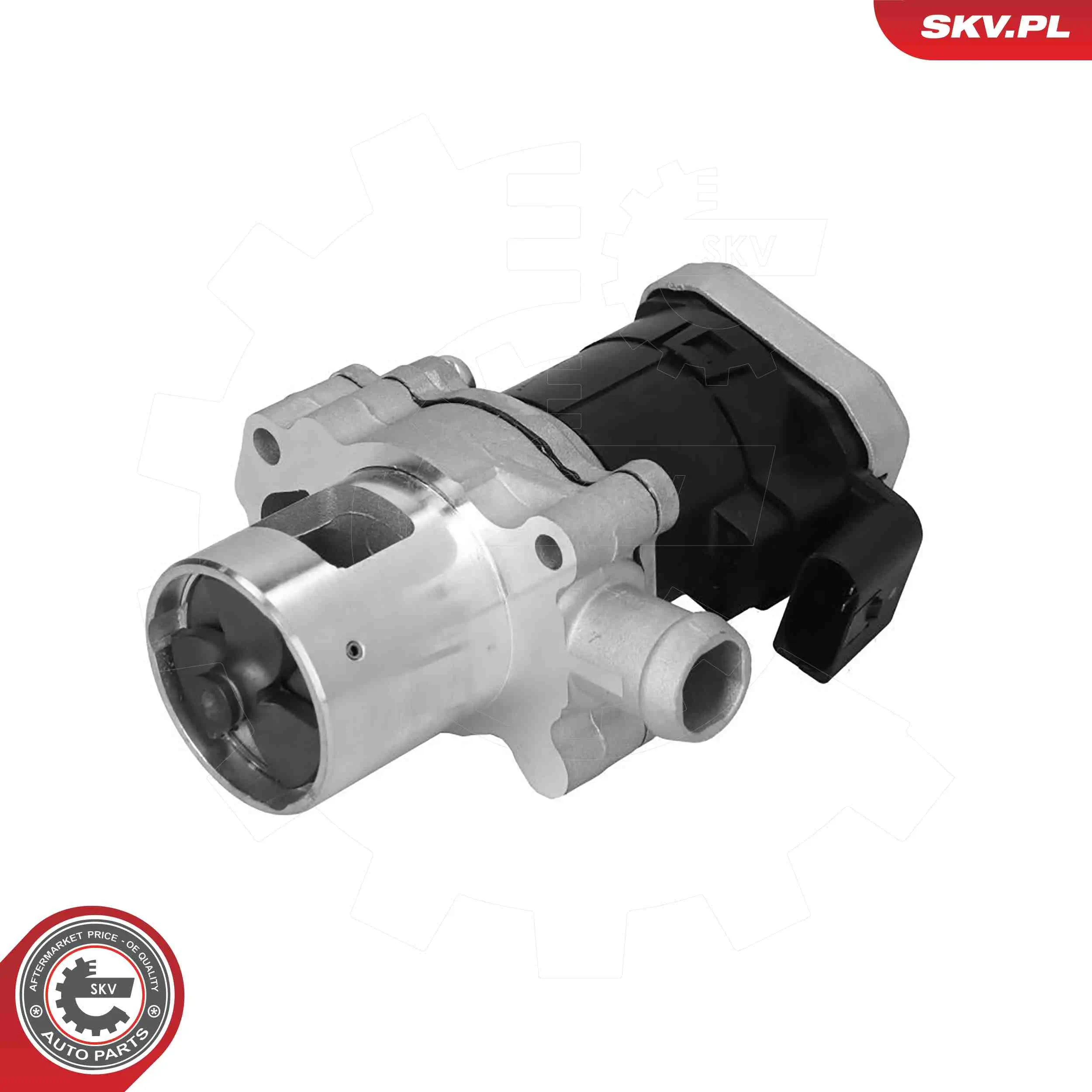 AGR-Ventil 12 V ESEN SKV 14SKV305