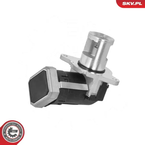 AGR-Ventil 12 V ESEN SKV 14SKV306 Bild AGR-Ventil 12 V ESEN SKV 14SKV306