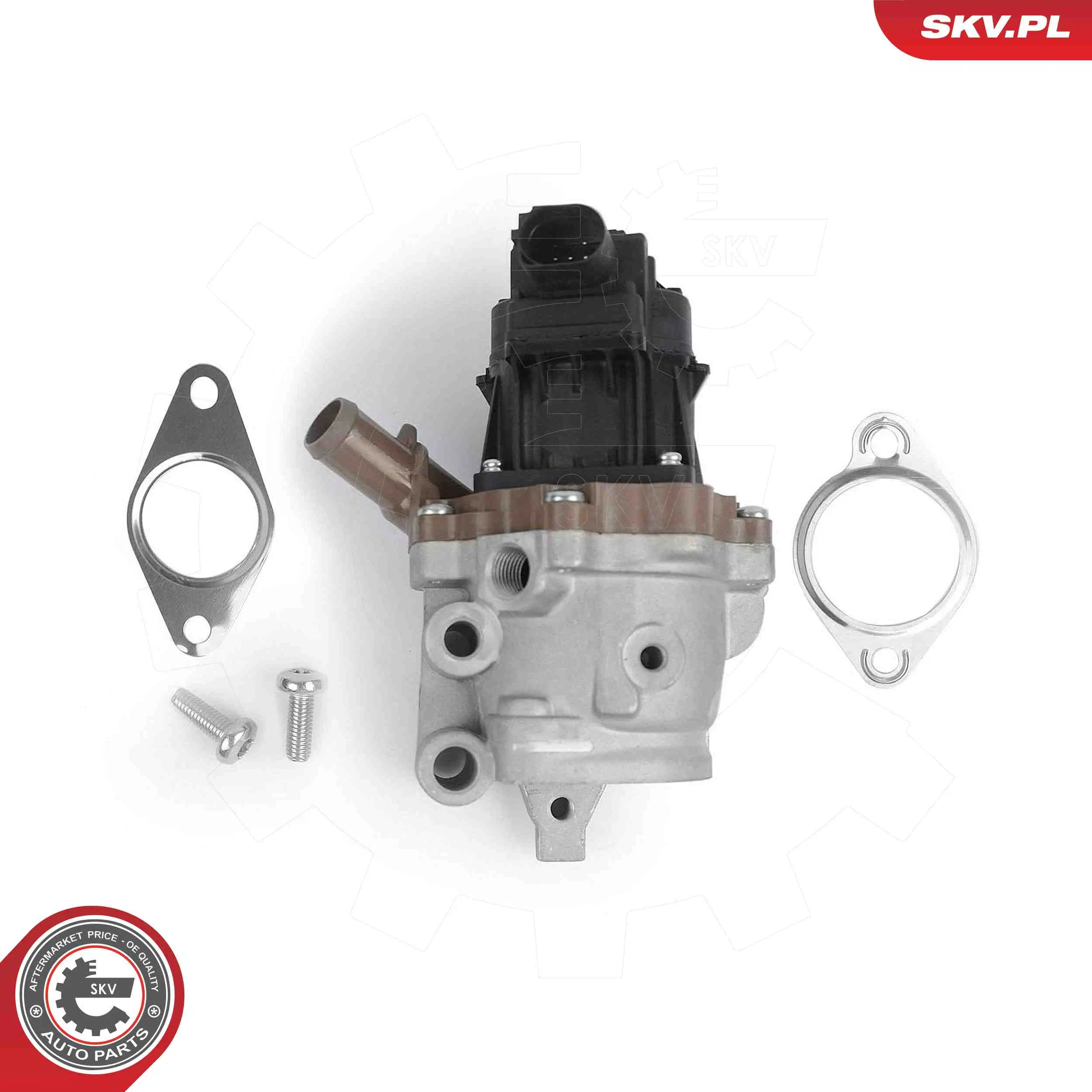 AGR-Ventil 12 V ESEN SKV 14SKV313