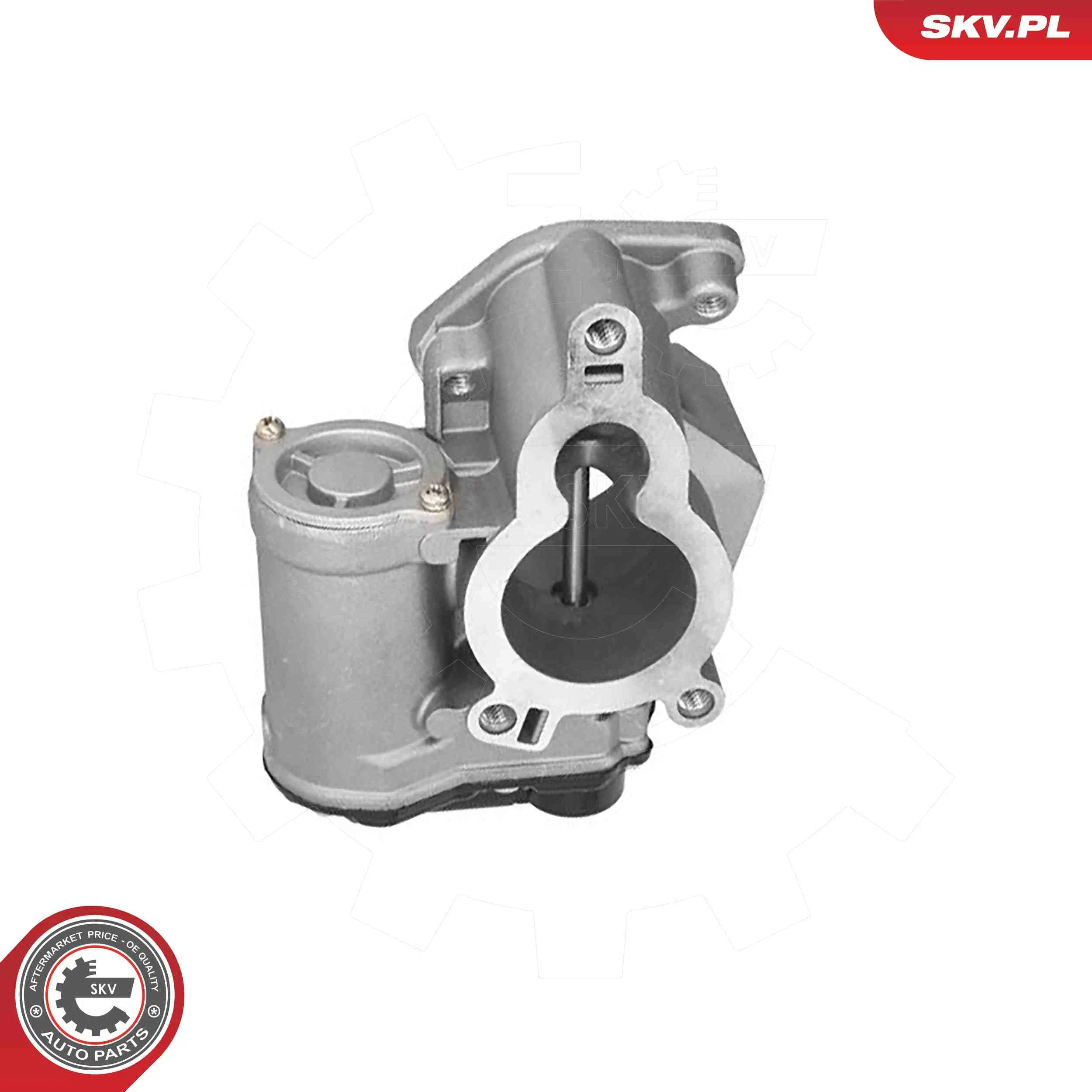 AGR-Ventil 12 V ESEN SKV 14SKV317