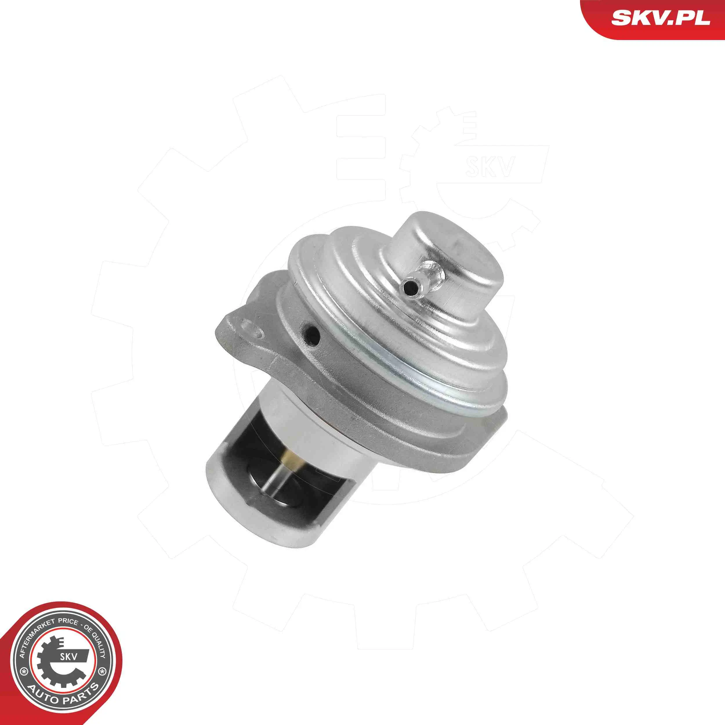 AGR-Ventil ESEN SKV 14SKV326