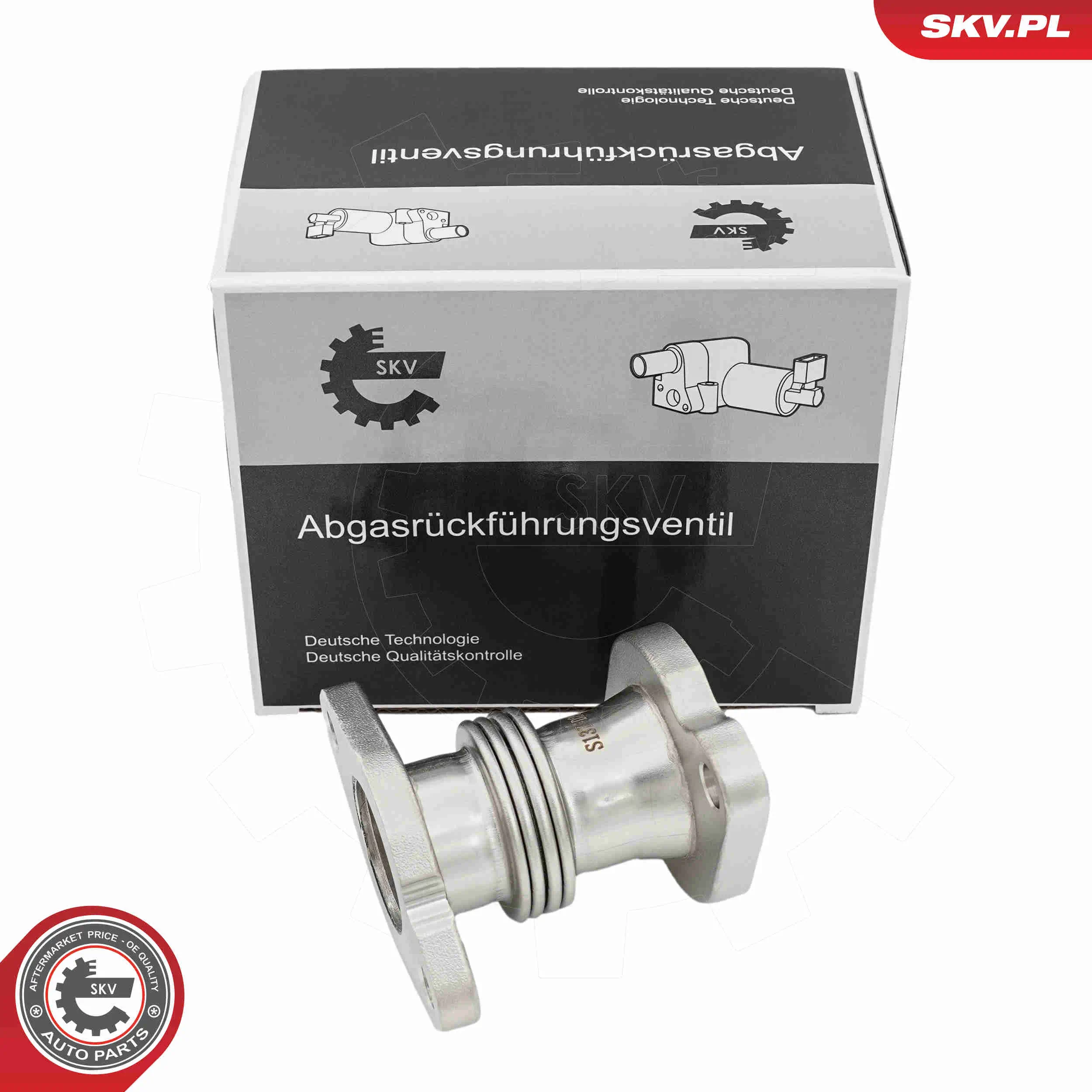 Rohrleitung, AGR-Ventil ESEN SKV 14SKV721