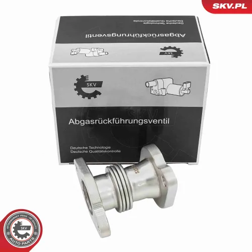 Rohrleitung, AGR-Ventil ESEN SKV 14SKV721 Bild Rohrleitung, AGR-Ventil ESEN SKV 14SKV721