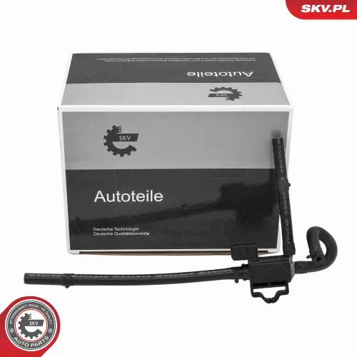 Ladedruckregelventil ESEN SKV 14SKV914 Bild Ladedruckregelventil ESEN SKV 14SKV914